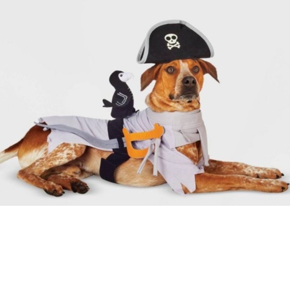 Dog Cat Pet Hyde & Eek  LED GHOST PIRATE Set Halloween Costume Size XS Hat  NWT